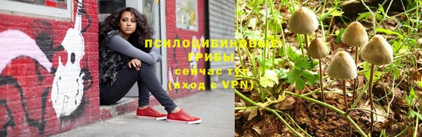 ALPHA PVP Заволжск
