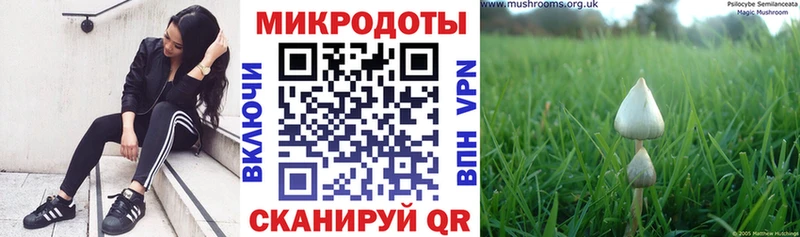 как найти закладки  Сланцы  KRAKEN вход  Галлюциногенные грибы Cubensis 