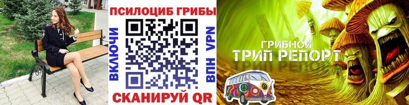 Галлюциногенные грибы мухоморы Сланцы