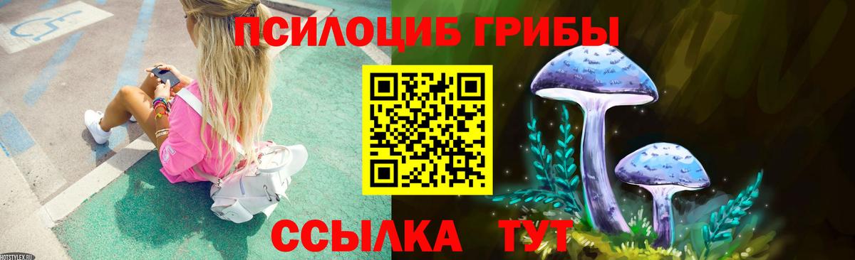 Галлюциногенные грибы Psilocybine cubensis Сланцы